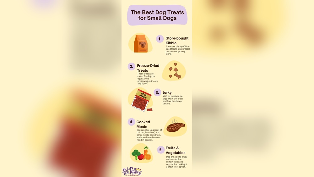 Best Natural Dog Treats for Small Dogs