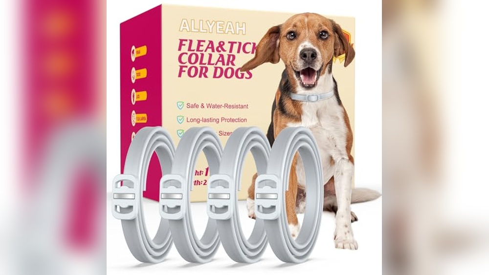 Best Natural Flea And Tick Collar for Dogs Reviews