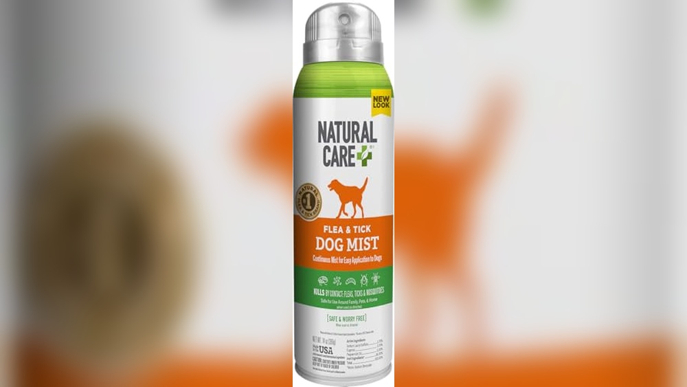 Best Natural Flea And Tick Repellent for Dogs