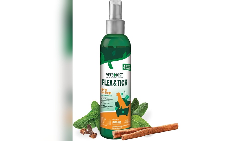 Best Natural Flea And Tick Repellent for Dogs