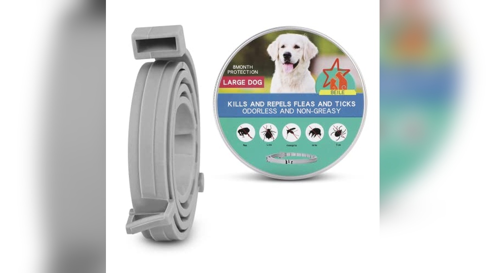 Best Natural Heartworm Prevention for Dogs