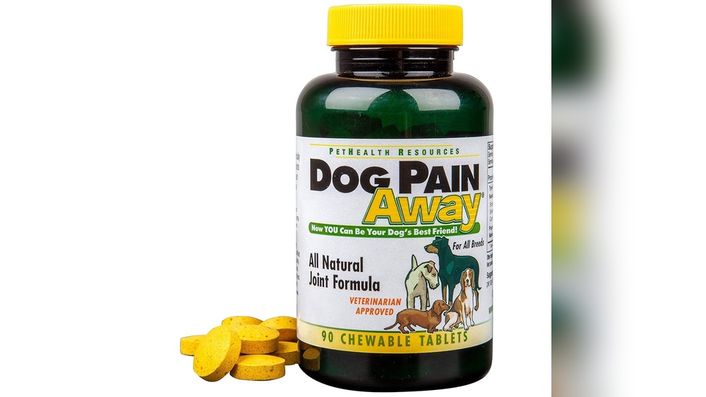 Best Natural Pain Relief for Dogs