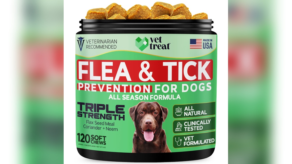 Best Natural Remedy for Fleas on Dogs