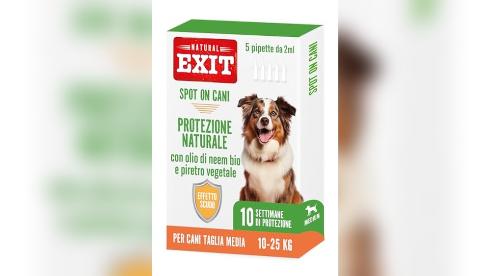 Best Natural Tick And Flea Repellent for Dogs