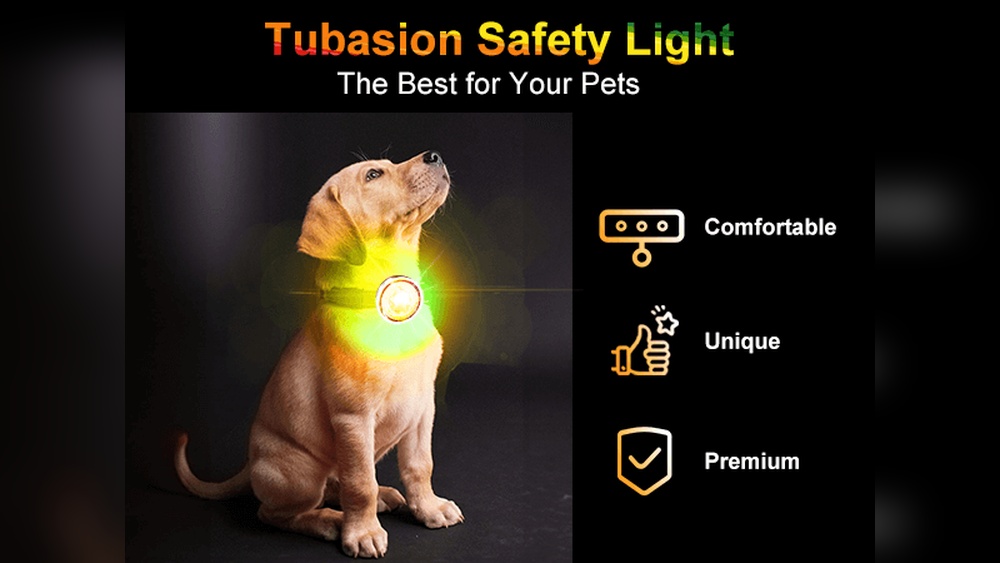 Best Night Light for Dogs