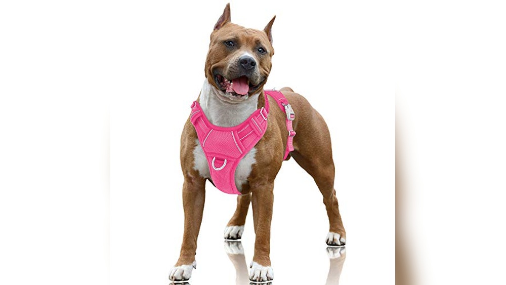 Best No Chafe Dog Harness
