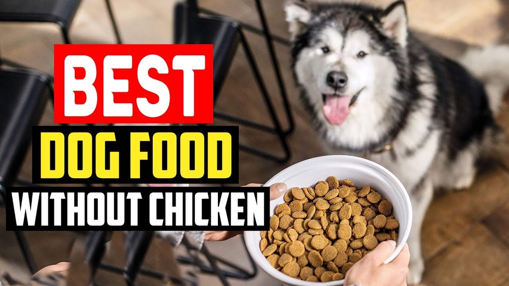 Best No Chicken Dog Food