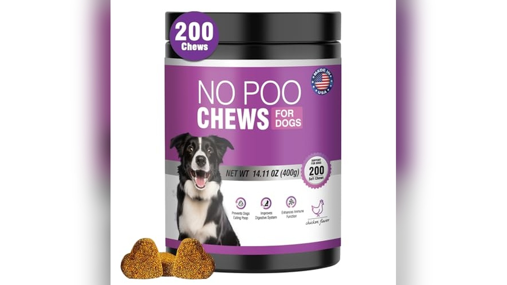 Best No Poop Eating Deterrent for Dogs