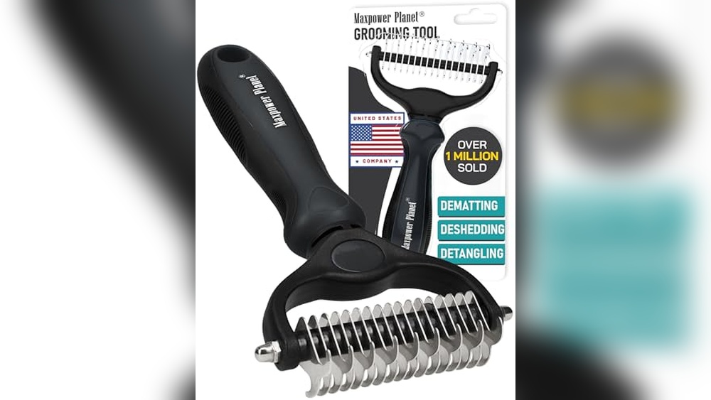 Best Non Shedding Big Dogs
