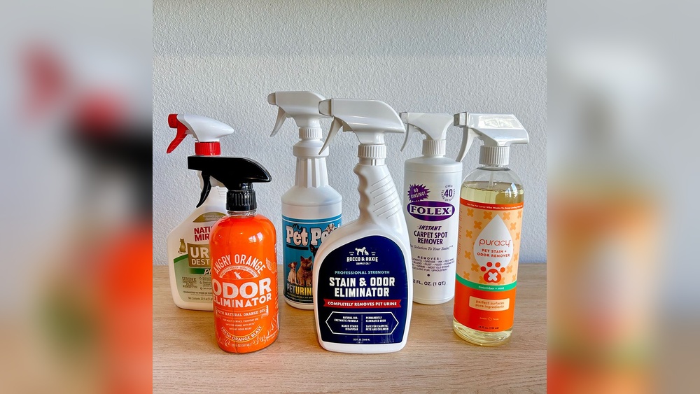 Best Odor Eliminator for Dog Urine