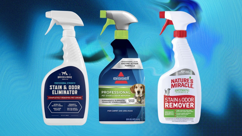 Best Odor Eliminator for Dog Urine