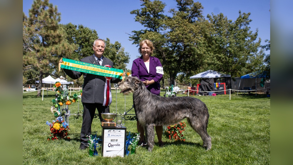 Best of Opposite Dog Show