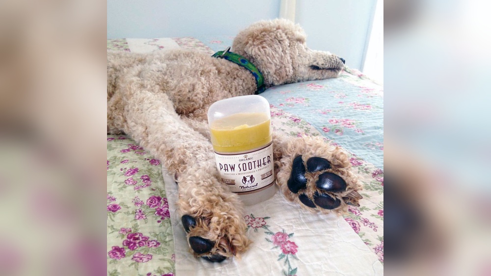 Best Oil for Dogs Paws