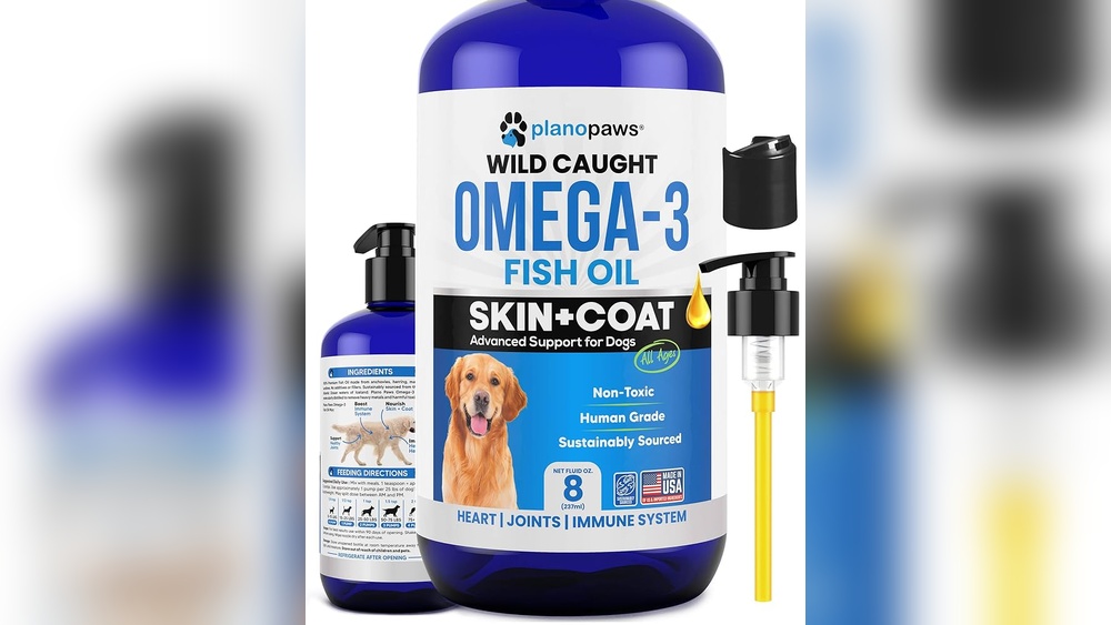 Best Oil Supplement for Dogs Dry Skin