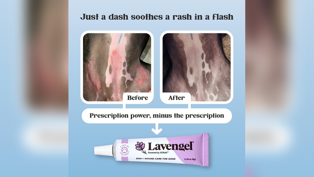 Best Ointment for Dog Rash