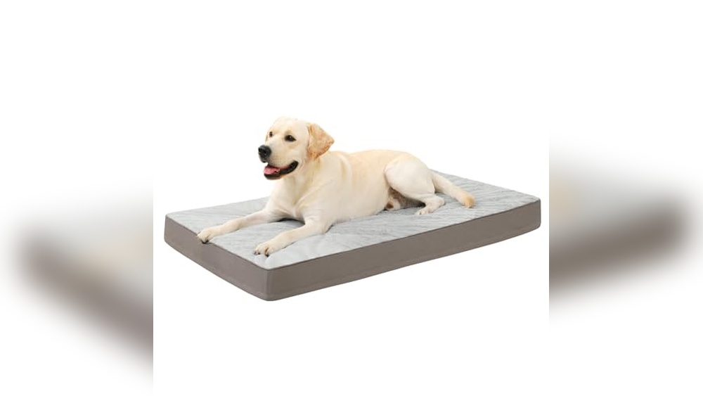 Best Orthopedic Dog Bed for Crate