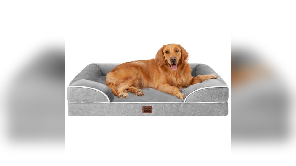 Best Orthopedic Dog Bed on the Market