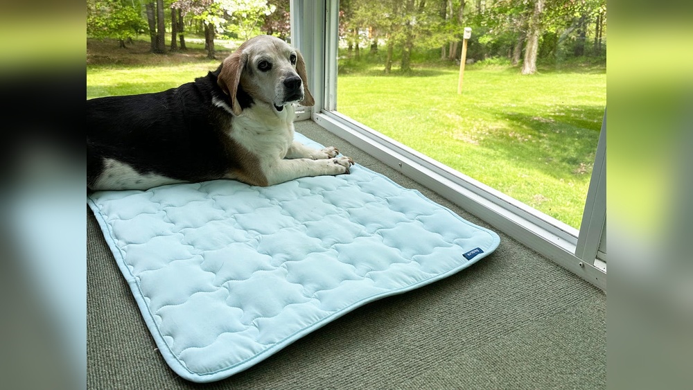 Best Outdoor Dog Cooling Mat