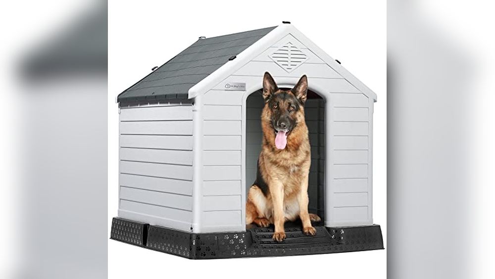 Best Outdoor Dog House for Large Dogs