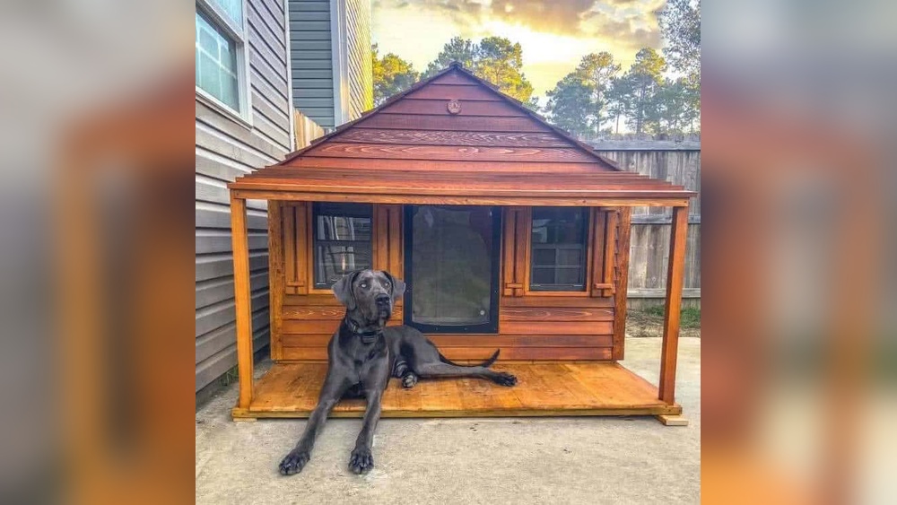 Best Outdoor Dog House for Large Dogs