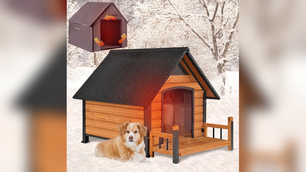 Best Outdoor Dog House for Winter