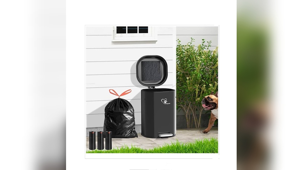 Best Outdoor Dog Waste Container