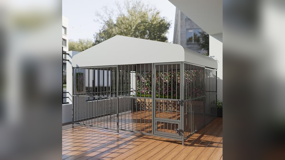Best Outdoor Kennel for Large Dogs
