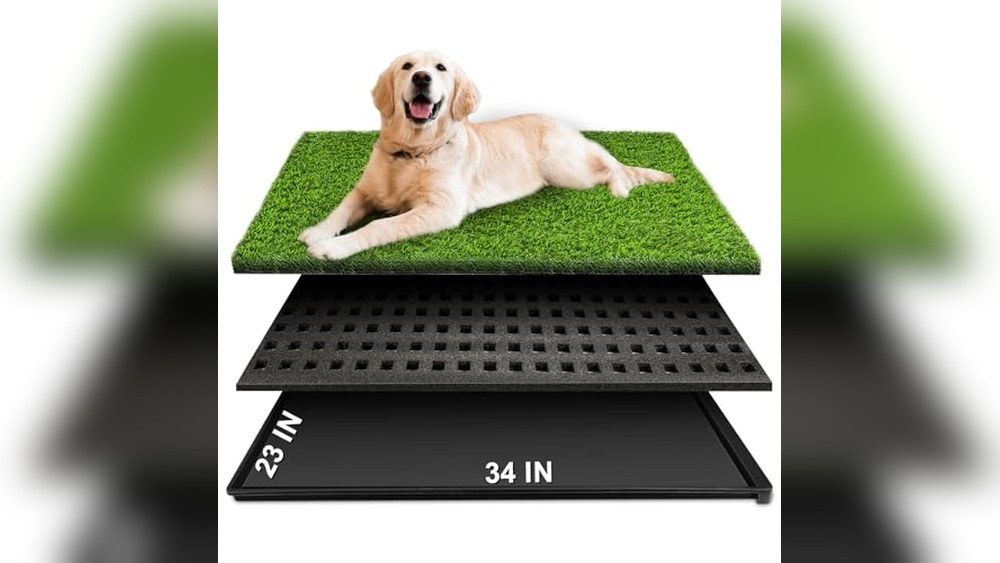 Best Outdoor Pee Pads for Dogs