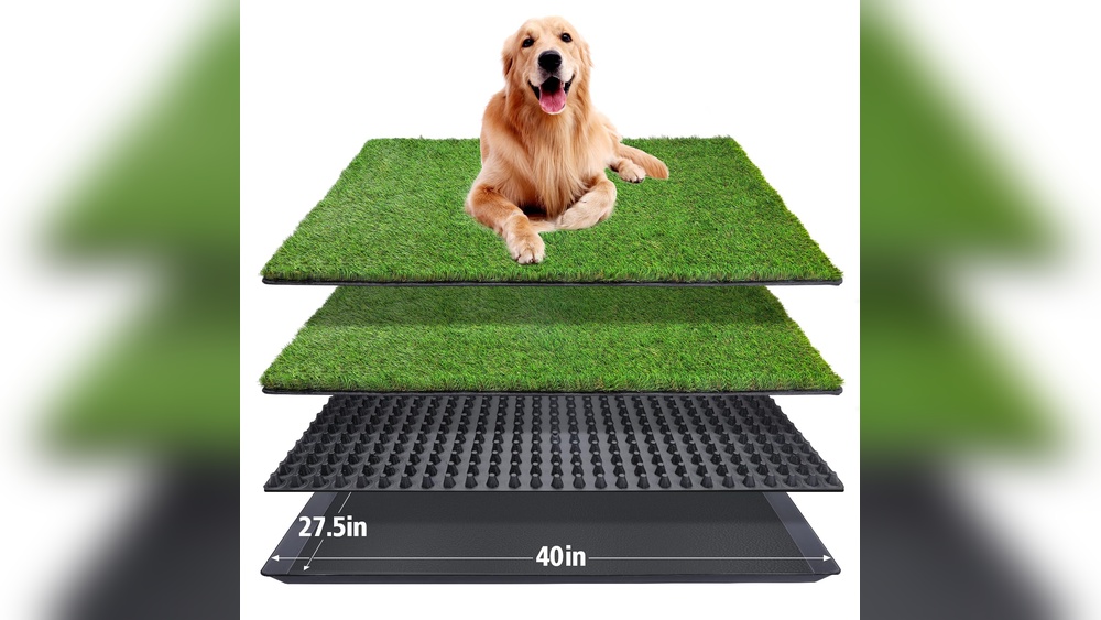 Best Outdoor Pee Pads for Dogs