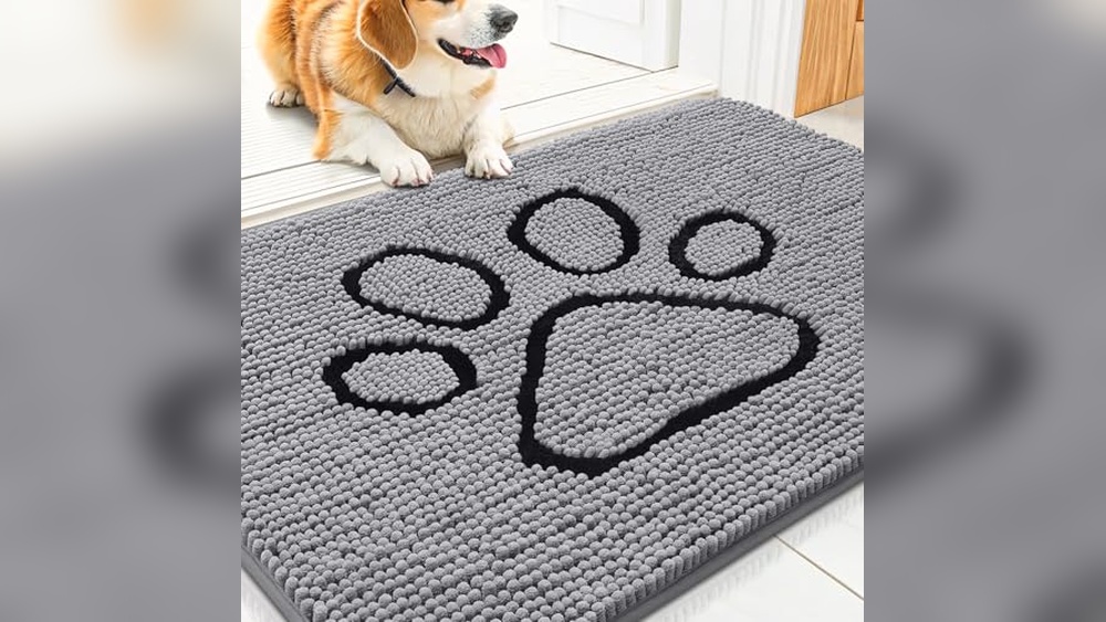 Best Outdoor Rugs for Dogs