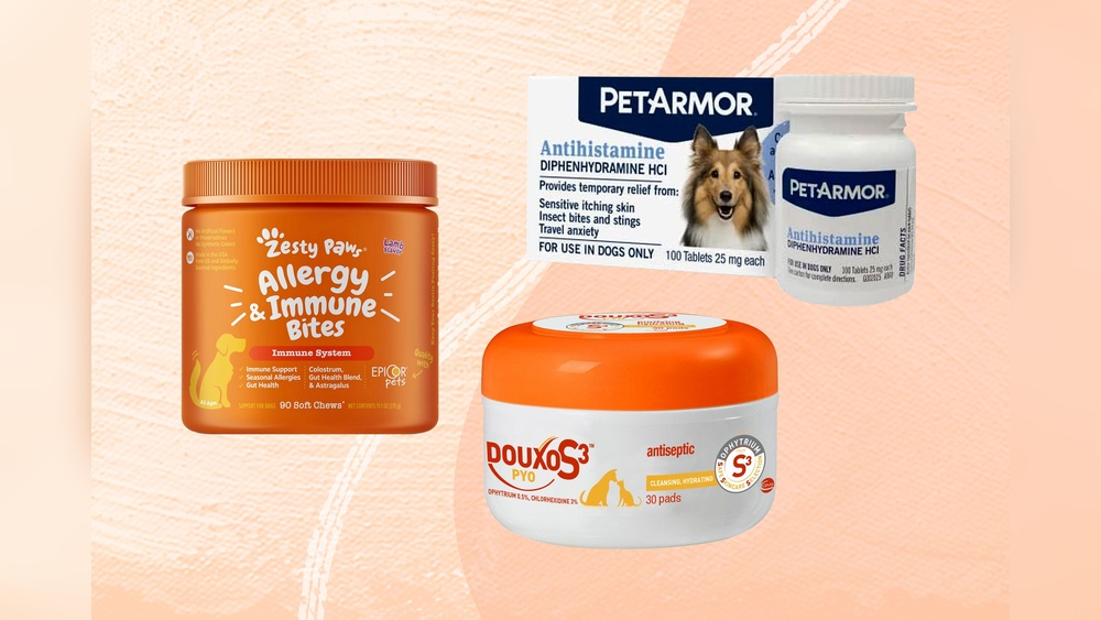 Best Over the Counter Anti Itch for Dogs