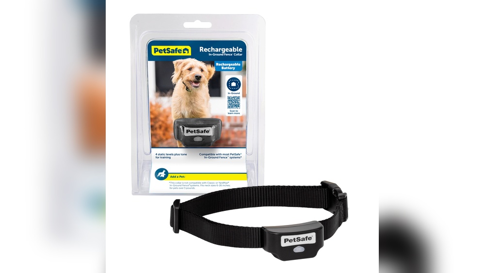 Best Perimeter Collar for Dogs