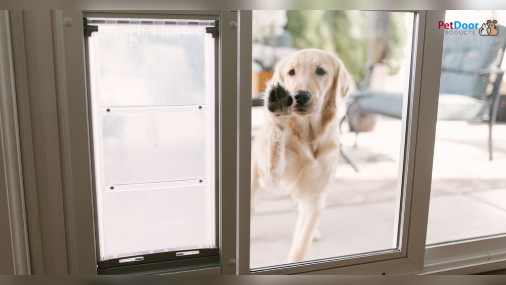 Best Pet Door for Large Dogs