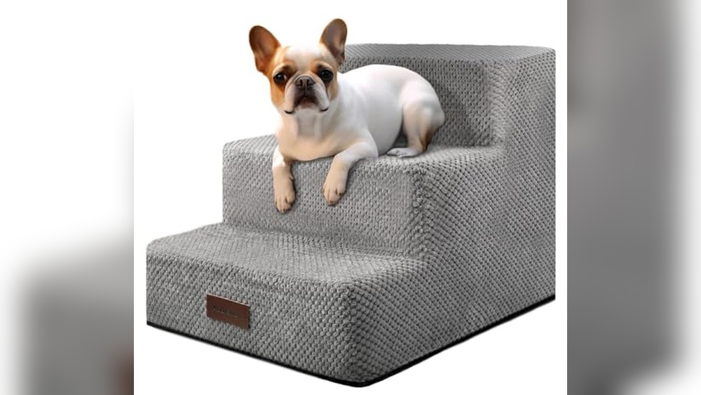 Best Pet Stairs for Small Dogs