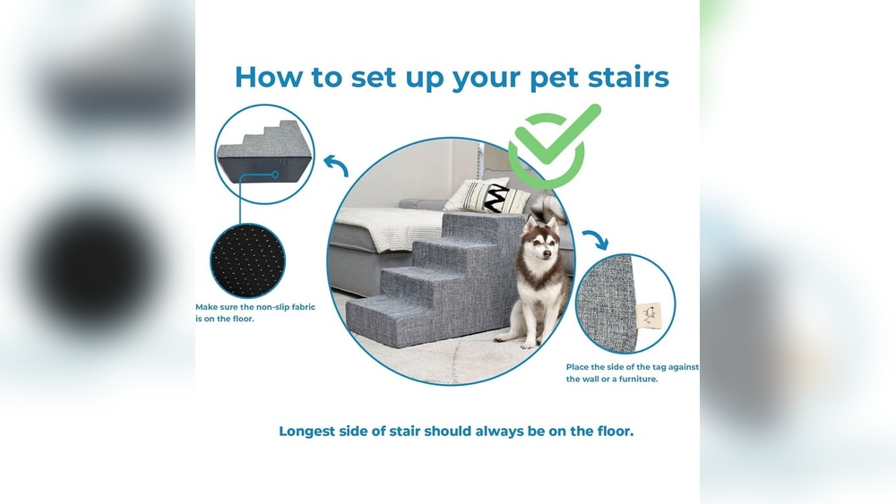 Best Pet Stairs for Small Dogs