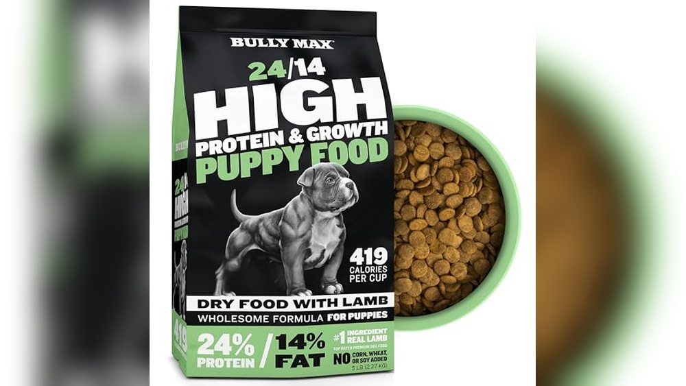 Best Pit Bull Dog Food