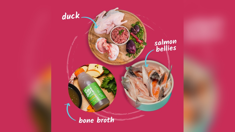 Best Place to Buy Bulk Dog Food