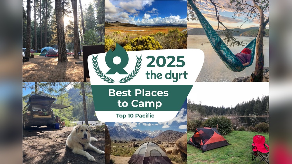 Best Places to Camp With Dogs