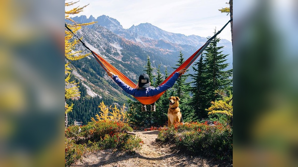 Best Places to Go With a Dog