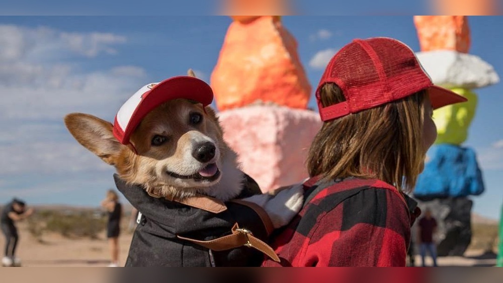 Best Places to Travel Solo With Your Dog