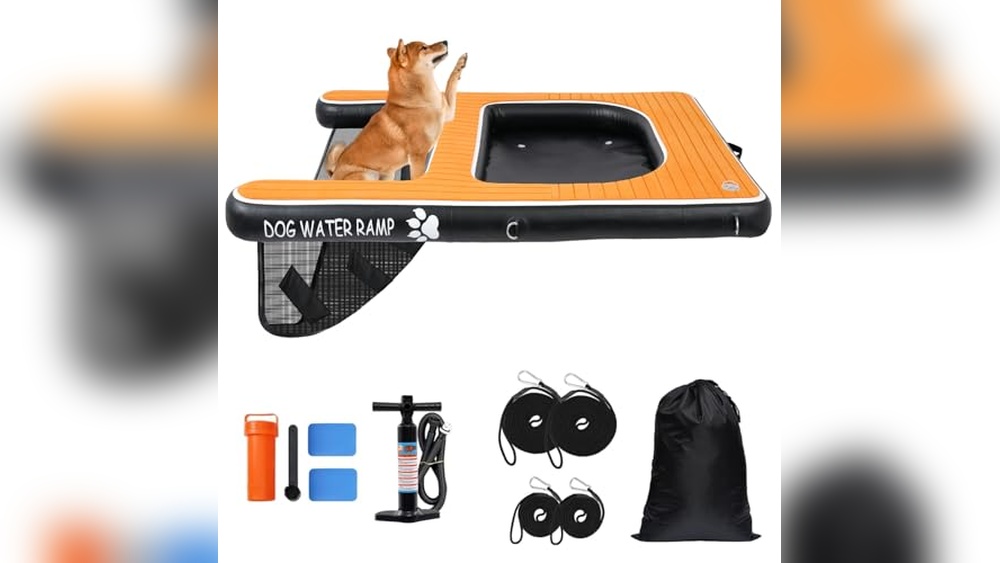 Best Pool Float for Dogs