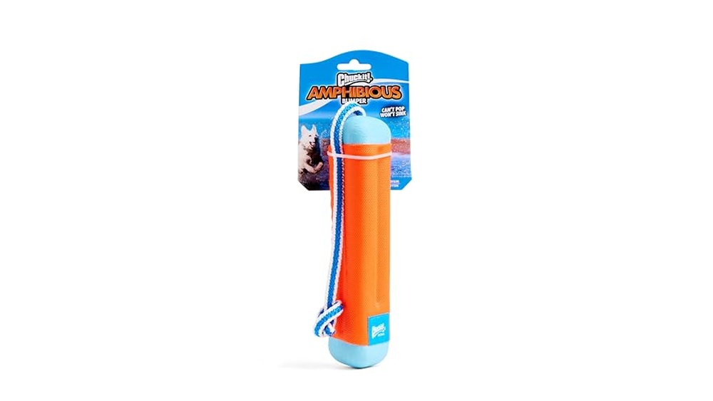 Best Pool Toys for Dogs