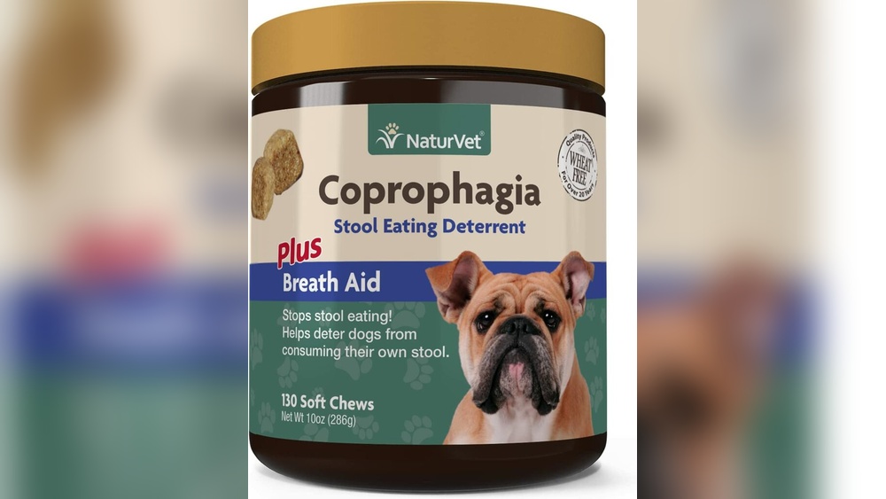 Best Poop Deterrent for Dogs