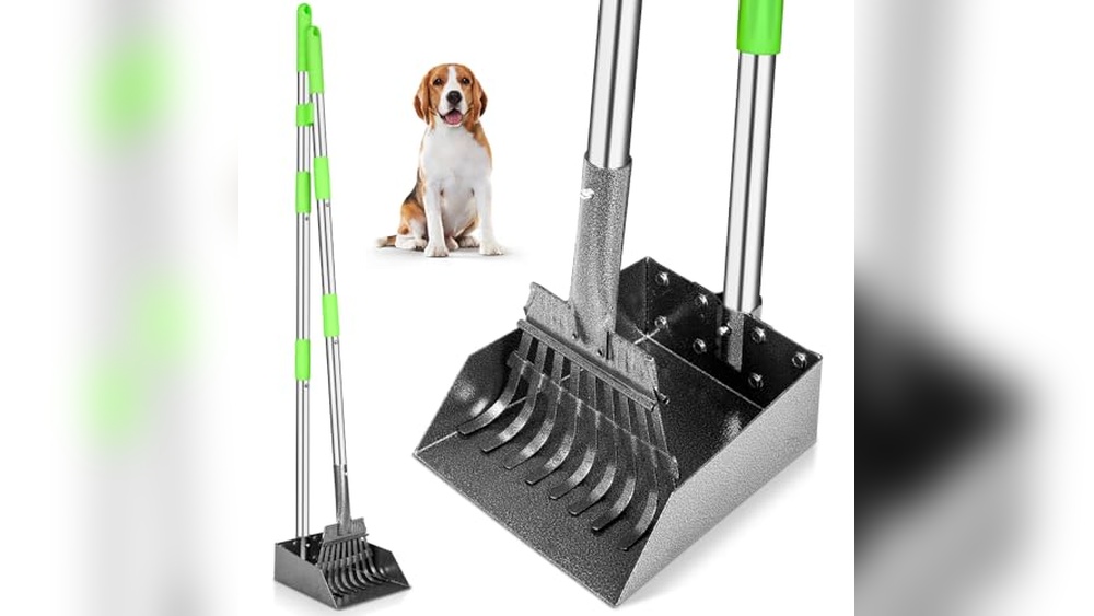 Best Pooper Scooper for Big Dogs