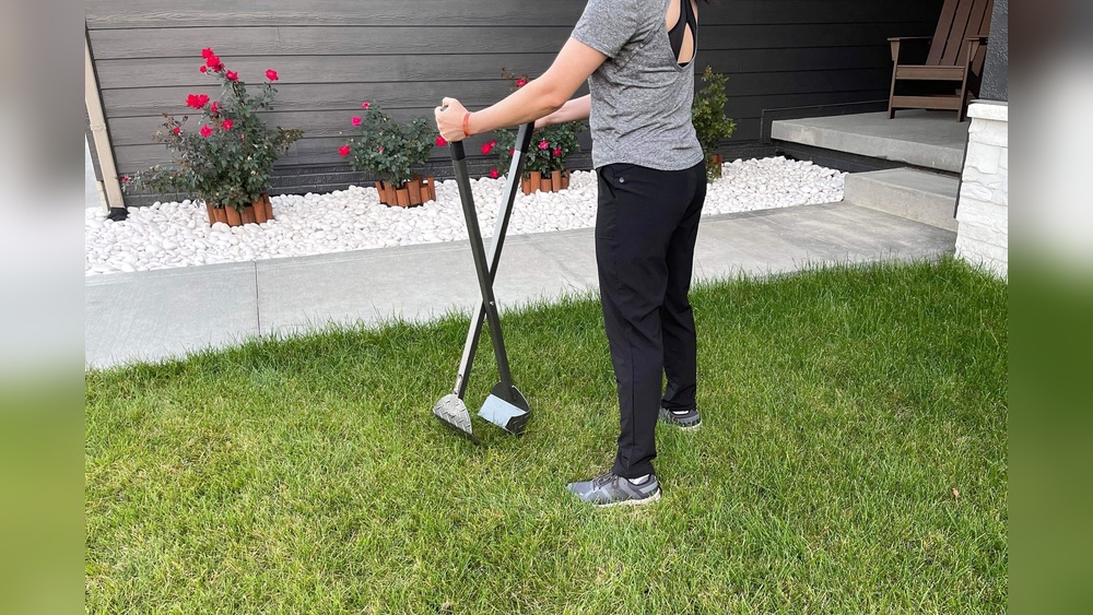 Best Pooper Scooper for Big Dogs