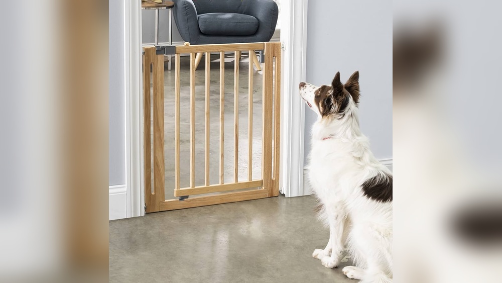 Best Pressure Mounted Dog Gates