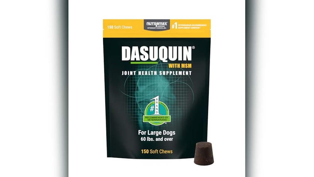 Best Price for Dasuquin With Msm for Large Dogs