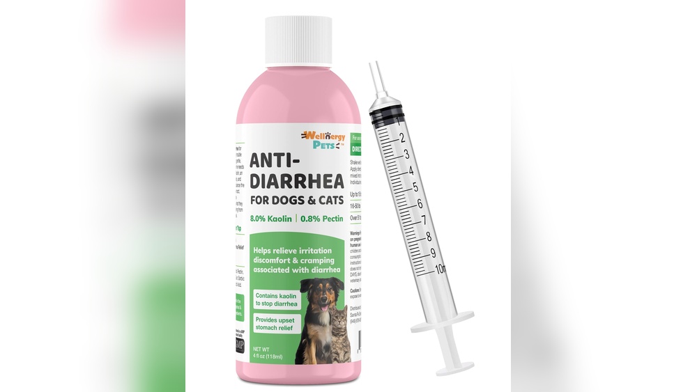 Best Product for Dog Diarrhea