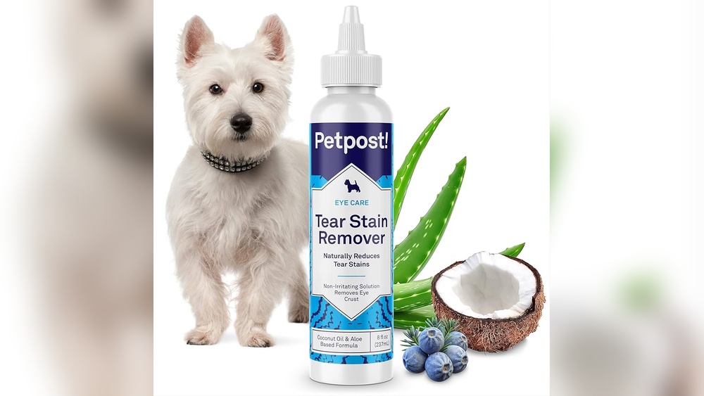 Best Product for Dog Tear Stains