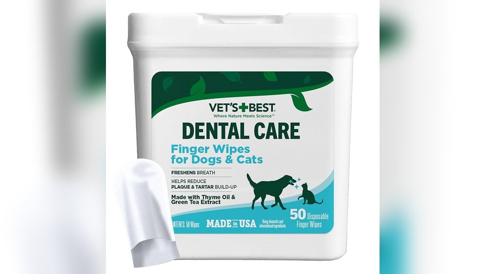 Best Product for Dog Teeth Cleaning